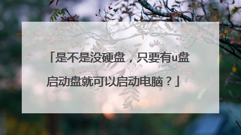 是不是没硬盘，只要有u盘启动盘就可以启动电脑？
