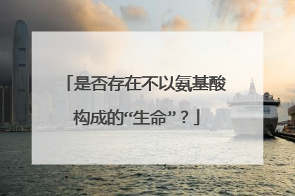 是否存在不以氨基酸构成的“生命”?