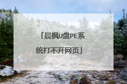 晨枫U盘PE系统打不开网页