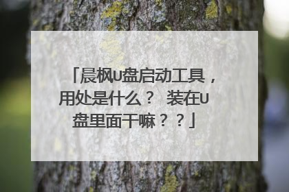 晨枫U盘启动工具,用处是什么? 装在U盘里面干嘛??