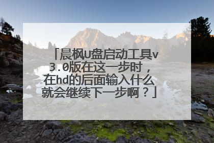 晨枫U盘启动工具v3.0版在这一步时,在hd的后面输入什么就会继续下一步啊?