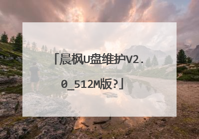 晨枫U盘维护V2.0_512M版?
