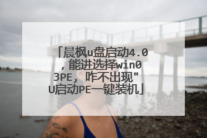 晨枫u盘启动4.0 ，能进选择win03PE, 咋不出现