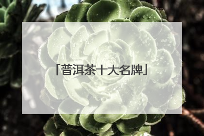 普洱茶十大名牌