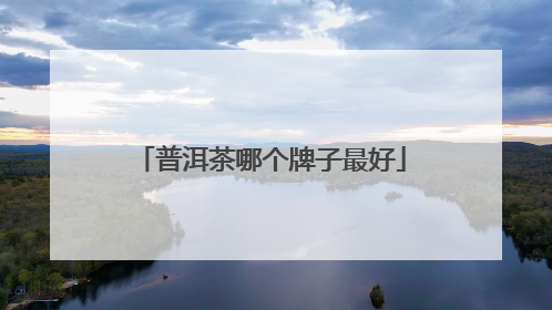 普洱茶哪个牌子最好