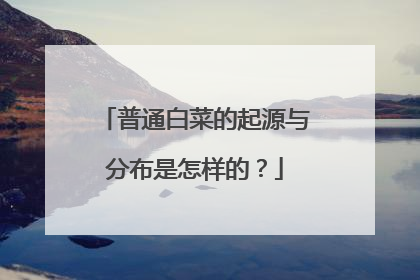 普通白菜的起源与分布是怎样的?