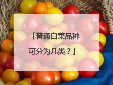 普通白菜品种可分为几类?