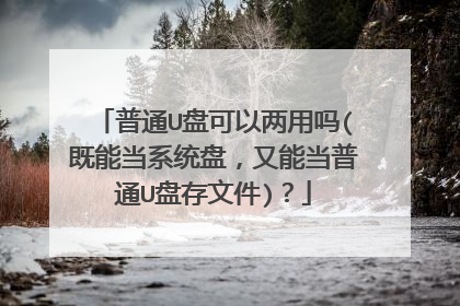 普通U盘可以两用吗(既能当系统盘,又能当普通U盘存文件)?