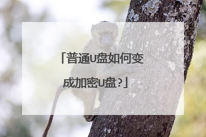 普通U盘如何变成加密U盘?