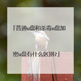 普通u盘和杀毒u盘加密u盘有什么区别?