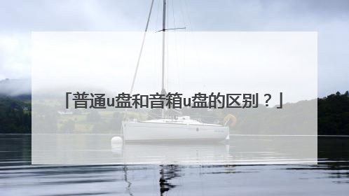 普通u盘和音箱u盘的区别?