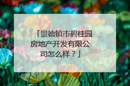 景德镇市碧桂园房地产开发有限公司怎么样?