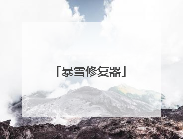 暴雪修复器