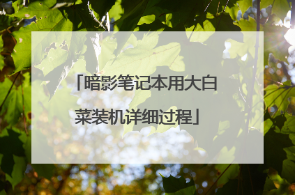 暗影笔记本用大白菜装机详细过程
