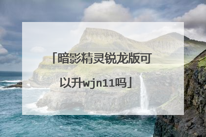 暗影精灵锐龙版可以升wjn11吗