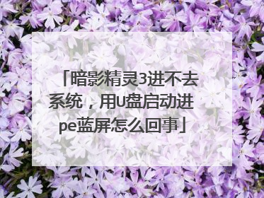 暗影精灵3进不去系统,用U盘启动进pe蓝屏怎么回事