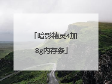 暗影精灵4加8g内存条