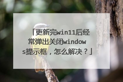 更新完win11后经常弹出关闭windows提示框，怎么解决？