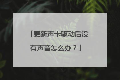 更新声卡驱动后没有声音怎么办？