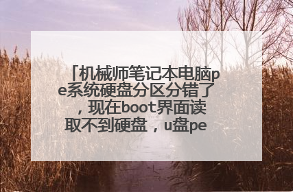 机械师笔记本电脑pe系统硬盘分区分错了，现在boot界面读取不到硬盘，u盘pe系统也进不去了