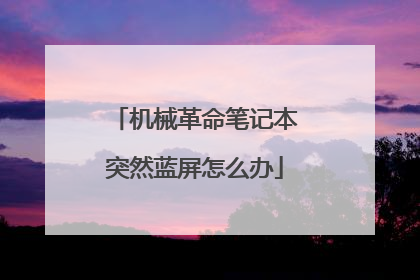 机械革命笔记本突然蓝屏怎么办