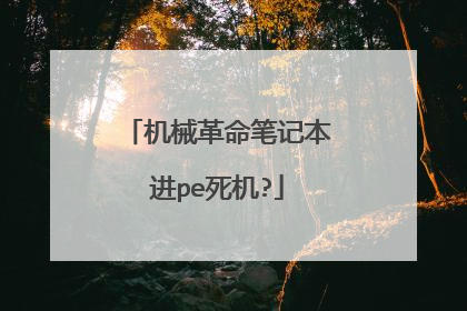 机械革命笔记本进pe死机?