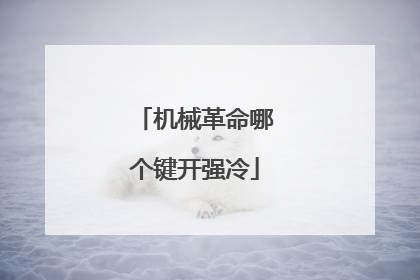 机械革命哪个键开强冷