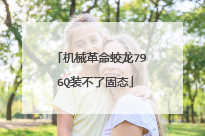机械革命蛟龙796Q装不了固态