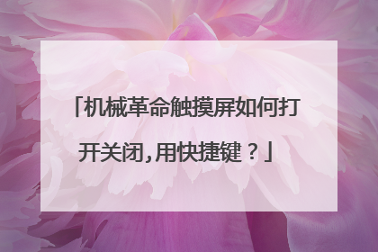 机械革命触摸屏如何打开关闭,用快捷键?