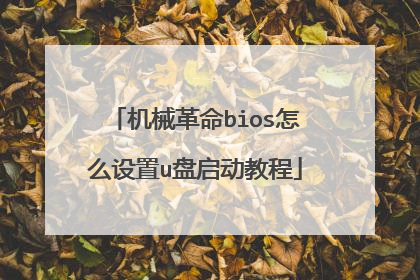 机械革命bios怎么设置u盘启动教程