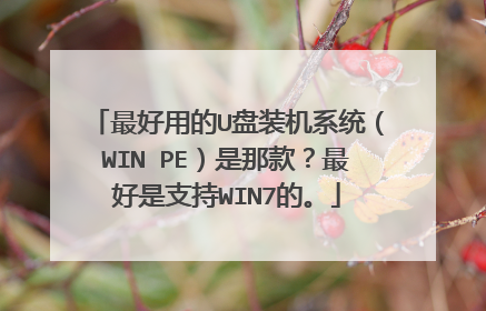最好用的U盘装机系统（WIN PE）是那款？最好是支持WIN7的。
