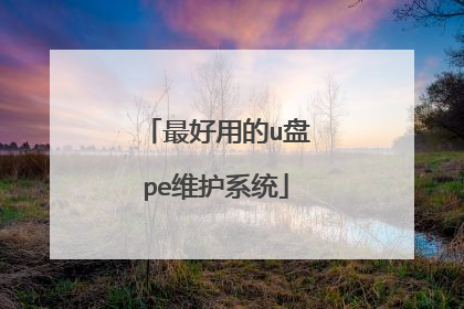 最好用的u盘pe维护系统