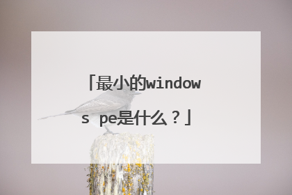最小的windows pe是什么?