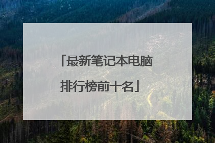 最新笔记本电脑排行榜前十名