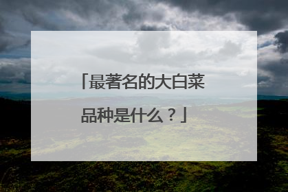 最著名的大白菜品种是什么?