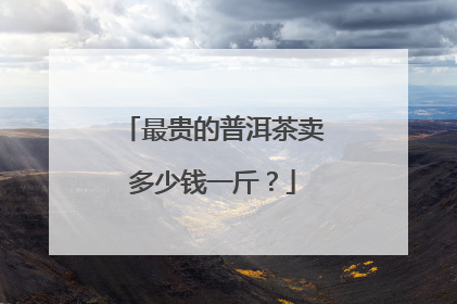 最贵的普洱茶卖多少钱一斤？