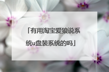 有用淘宝爱狼说系统u盘装系统的吗
