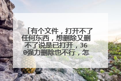 有个文件，打开不了任何东西，想删除又删不了说是已打开，360强力删除也不行，怎么都没用，怎么办？