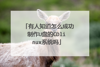 有人知道怎么成功制作U盘的CDlinux系统吗