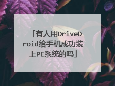有人用DriveDroid给手机成功装上PE系统的吗
