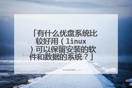 有什么优盘系统比较好用（linux）可以保留安装的软件和数据的系统？