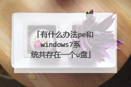 有什么办法pe和windows7系统共存在一个u盘