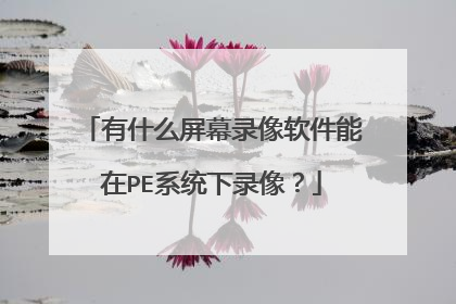 有什么屏幕录像软件能在PE系统下录像?