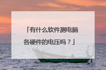 有什么软件测电脑各硬件的电压吗?
