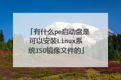 有什么pe启动盘是可以安装Linux系统ISO镜像文件的