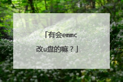 有会emmc改u盘的嘛?