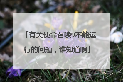 有关使命召唤9不能运行的问题,谁知道啊