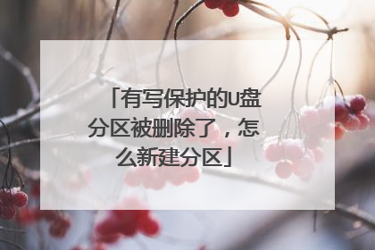 有写保护的U盘分区被删除了,怎么新建分区