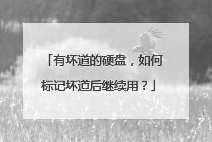 有坏道的硬盘,如何标记坏道后继续用?