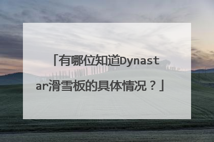 有哪位知道Dynastar滑雪板的具体情况？